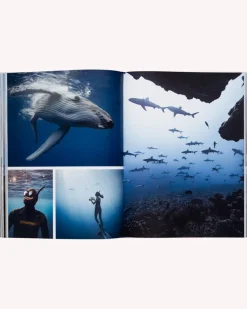 Books & Magazines|Books & Magazines><noscript><img width=