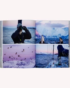 Books & Magazines|Books & Magazines><noscript><img width=