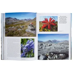 Books & Magazines|Books & Magazines><noscript><img width=